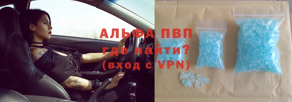хмурый Алзамай