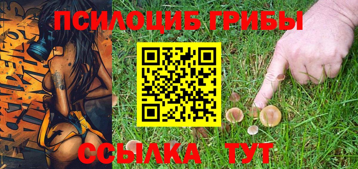 Галлюциногенные грибы GOLDEN TEACHER  Вход с VPN  Киров 