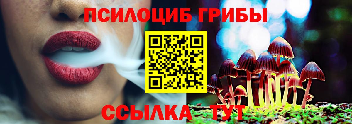 Галлюциногенные грибы Cubensis Киров